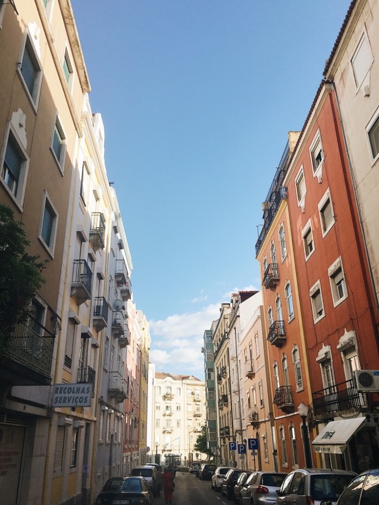 thumb_1AE40D25-4D0C-4FF3-9FF7-F105D7E9B0DD_1024