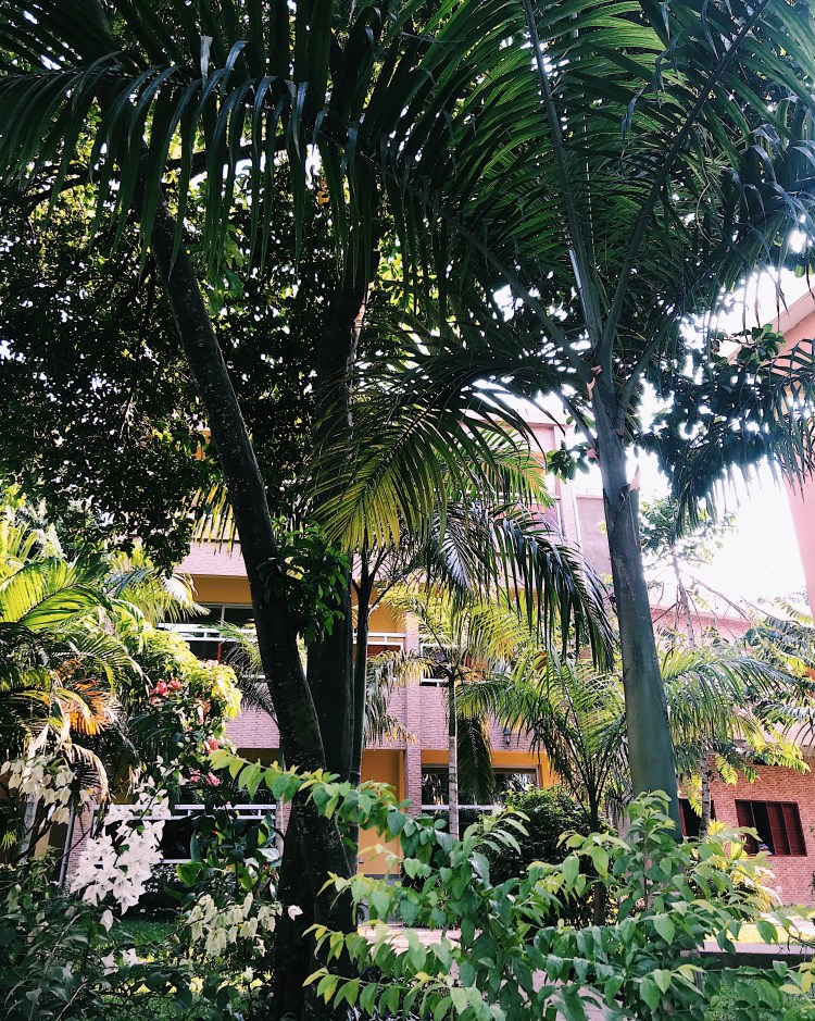 Processed with VSCO with c1 preset