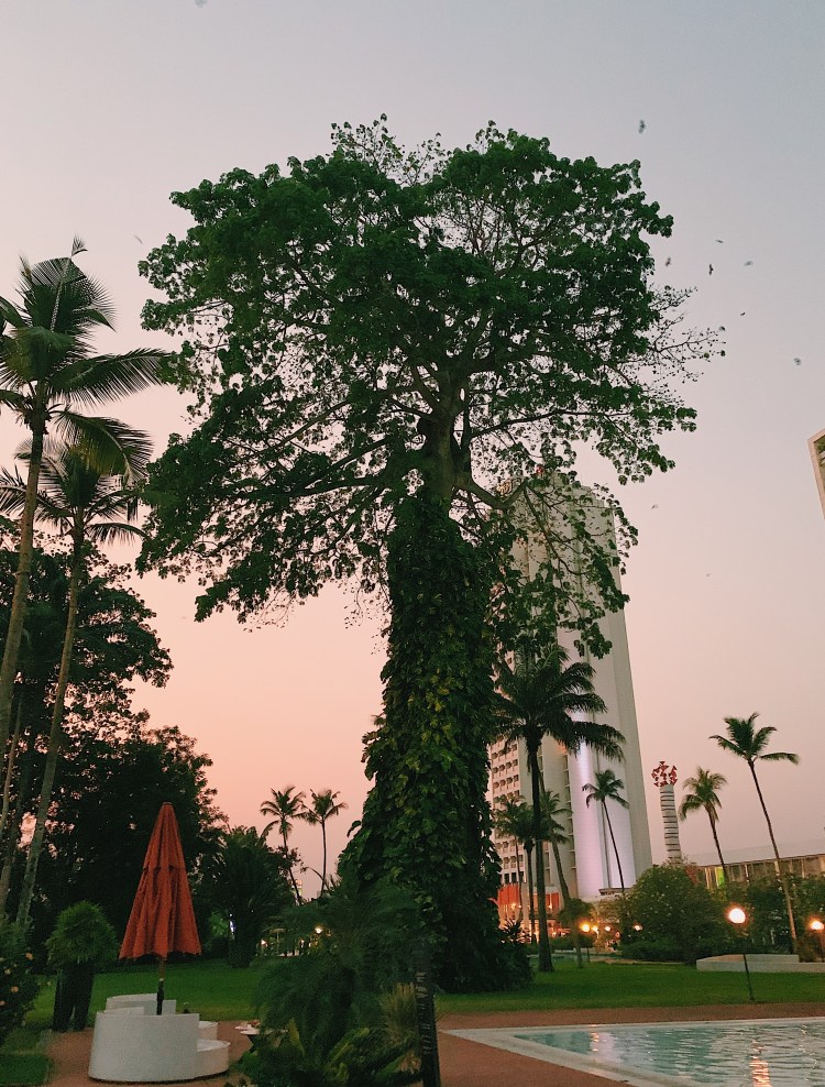 Processed with VSCO with c1 preset