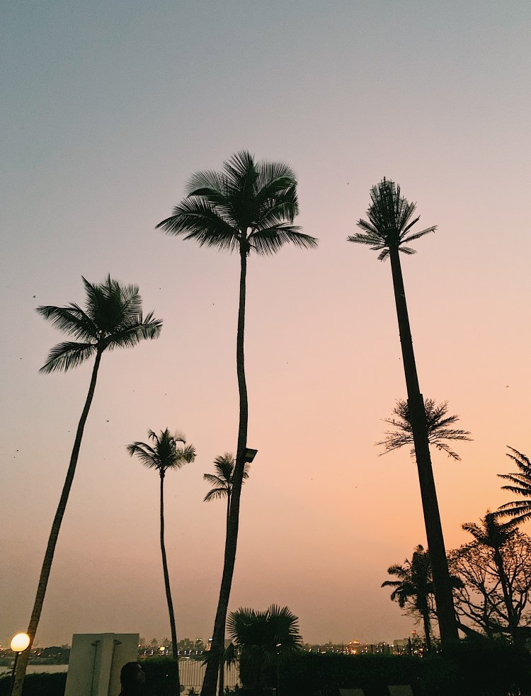 Processed with VSCO with c1 preset