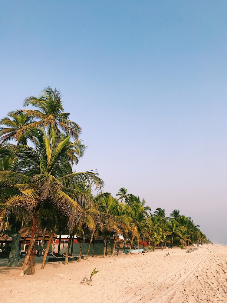 Processed with VSCO with c1 preset